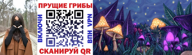 Псилоцибиновые грибы мицелий  Купить  Бузулук 